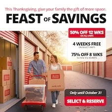 Access Storage - Midland Promotion